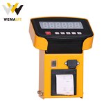 Weighing Transpallet Jacks Supplier - Factory Direct 2000-3000 kg Scale Pallet Trucks