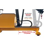 Automatic Stretching Crane Manufacturer - VANELIFT 1000-2000 kg Move Forward Mobile Electric