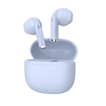 Wireless Earbuds Manufacturer - Compact True Wireless Earbuds OEM/ODM