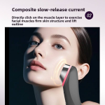 Beauty Instrument Manufacturer - IFINE 6-in-1 EMS Microcurrent Glass Massager