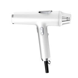 Silent Hair Dryer Manufacturer - 110000 RPM BLDC Negative Ion