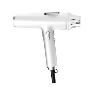 Silent Hair Dryer Manufacturer - 110000 RPM BLDC Negative Ion