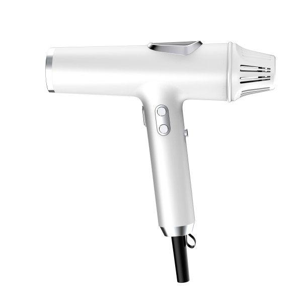 Silent Hair Dryer Manufacturer - 110000 RPM BLDC Negative Ion