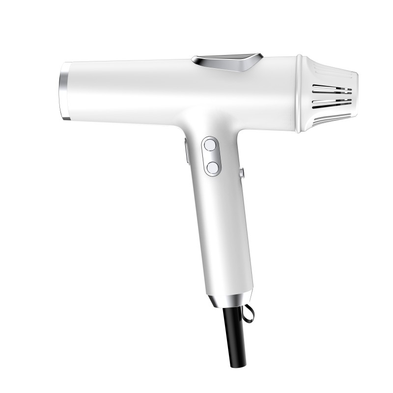 Silent Hair Dryer Manufacturer - 110000 RPM BLDC Negative Ion
