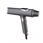 Silent Hair Dryer Manufacturer - 110000 RPM BLDC Negative Ion