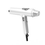 Silent Hair Dryer Manufacturer - 110000 RPM BLDC Negative Ion