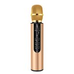 Wireless Microphone Factory - OEM/ODM Bluetooth Karaoke Handheld Microphone 3-in-1