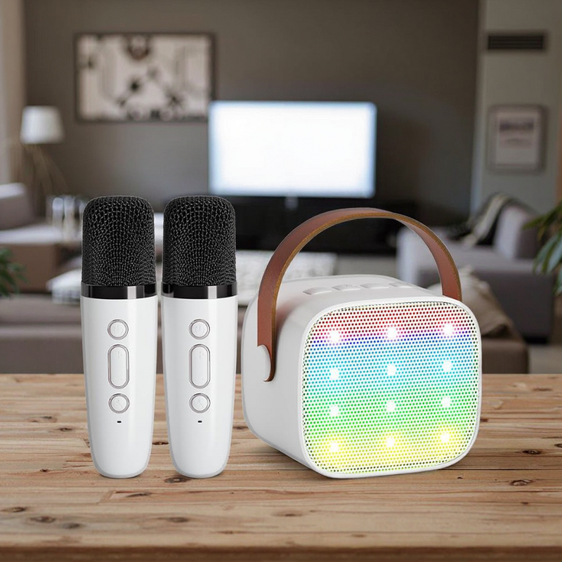 Portable Speaker Factory - OEM/ODM Big Size Karaoke Speaker with Microphone