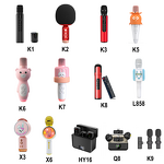 Wireless Microphone Factory - OEM/ODM Hypercardioid Condenser Mic for Singing Studio