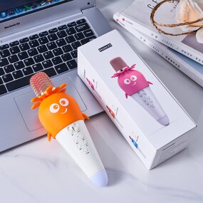 Portable Speaker Factory - OEM/ODM Mini Karaoke Speaker RGB LED Wireless Mic