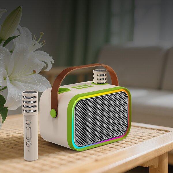 Outdoor Speaker Factory - OEM/ODM High Quality Karaoke Speaker Wireless Microphone