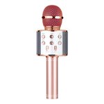 Wireless Microphone Factory - OEM/ODM Portable Kids Karaoke Mic with LED Light Toy