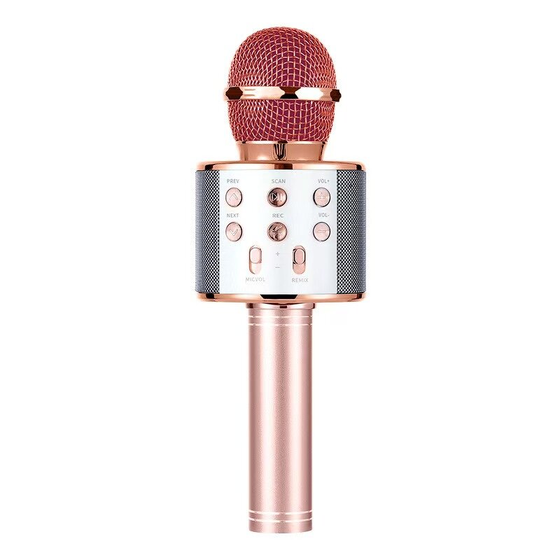 Wireless Microphone Factory - OEM/ODM Portable Kids Karaoke Mic with LED Light Toy