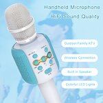Wireless Microphone Factory - OEM/ODM Professional Handheld Speaker Karaoke Stage