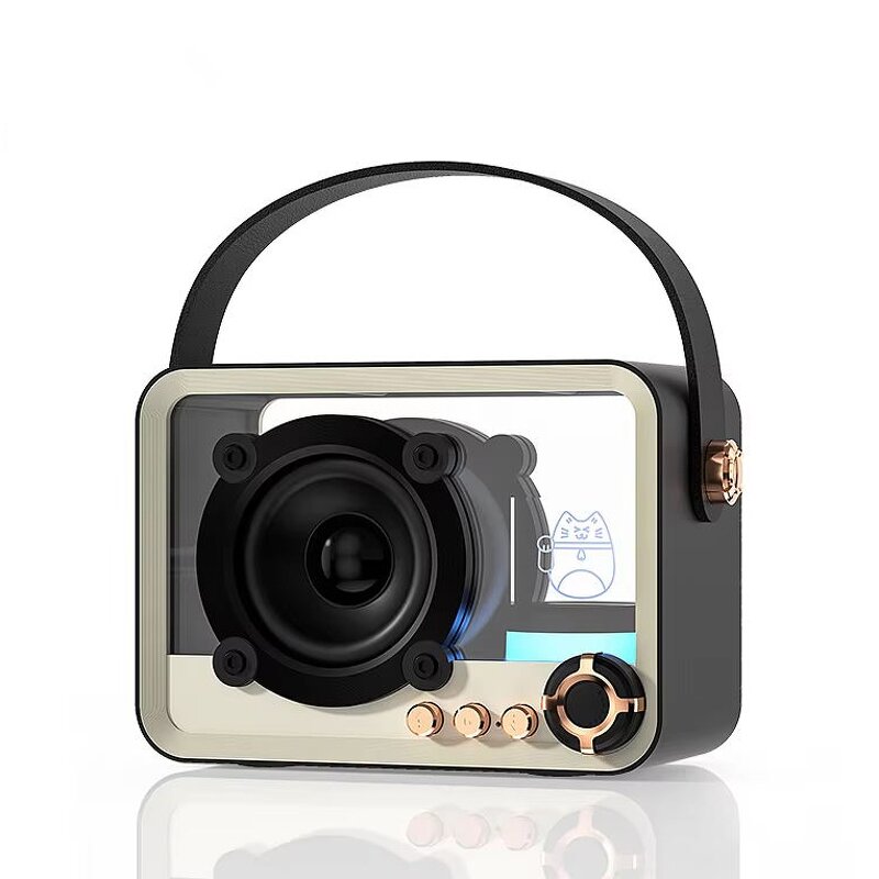 Outdoor Speaker Factory - OEM/ODM Professional Party Box Speaker Dual Bass