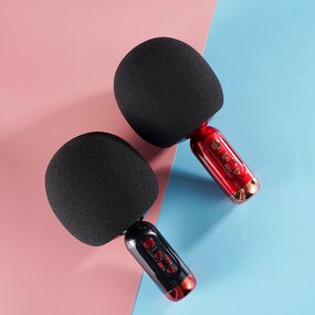 Wireless Microphone Factory - OEM/ODM BT Household Karaoke Mic Singing Live