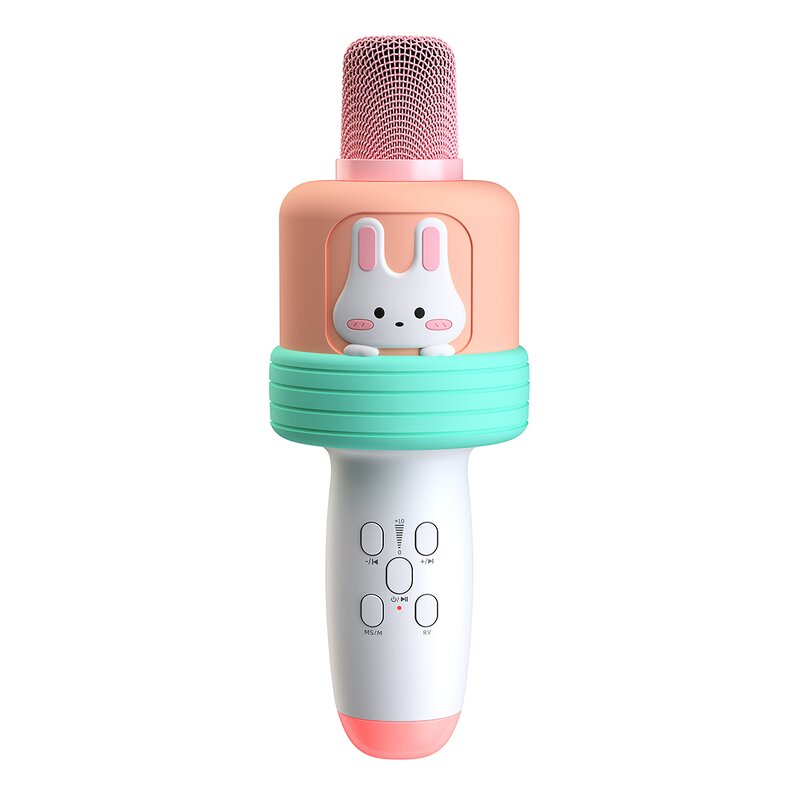 Wireless Microphone Factory - OEM/ODM Professional Type C Mic Noise Reduction