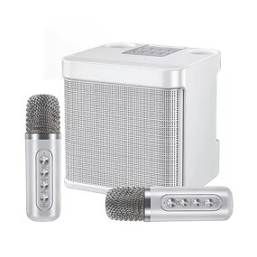 Portable Speaker Factory - OEM/ODM Mini Karaoke Speaker Waterproof Dual Mode