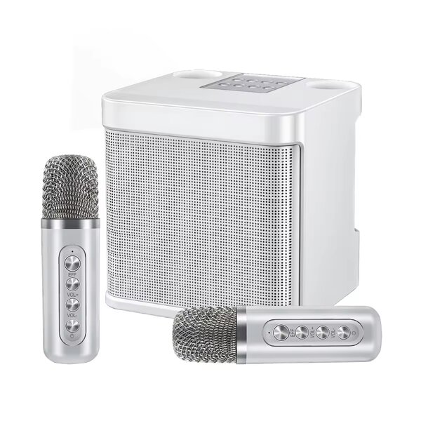 Portable Speaker Factory - OEM/ODM Mini Karaoke Speaker Waterproof Dual Mode