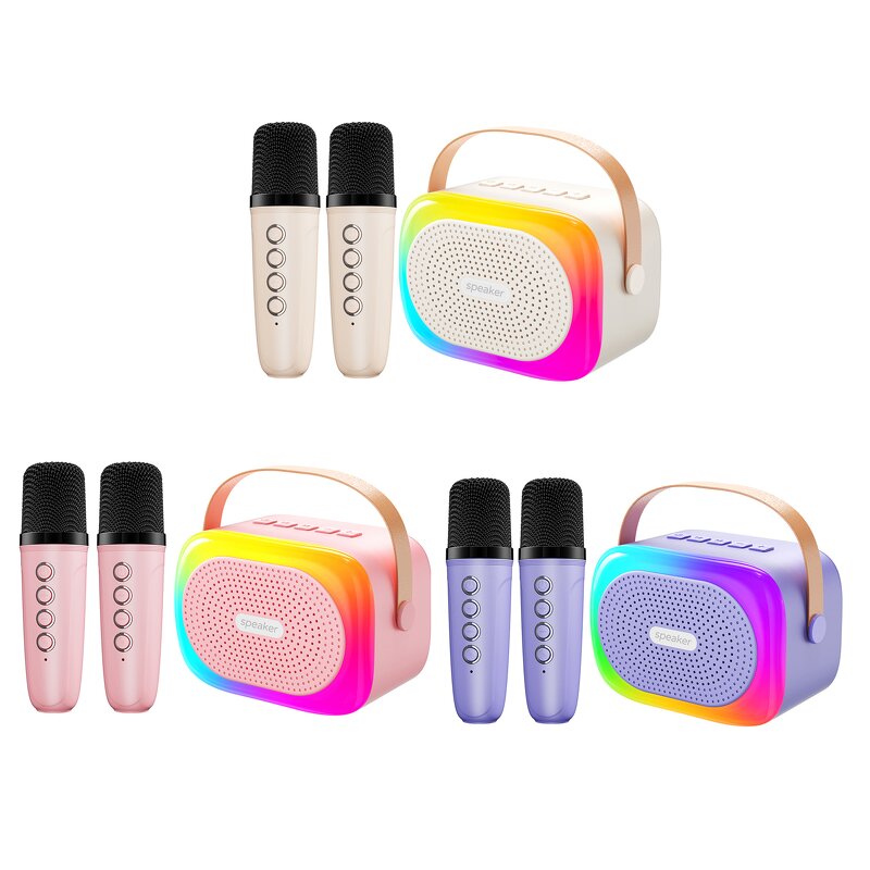 Outdoor Speaker Factory - OEM/ODM Professional Active Speaker with Microphone