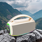 Outdoor Speaker Factory - OEM/ODM Professional Party Box Wireless Speaker 12 Inch