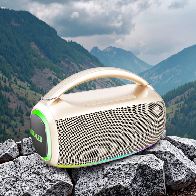 Outdoor Speaker Factory - OEM/ODM Professional Party Box Wireless Speaker 12 Inch