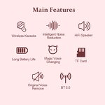 Portable Speaker Factory - OEM/ODM Wireless Microphone Karaoke Machine for Kids