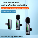 Wireless Microphone System Factory - OEM/ODM Professional with Handheld Lavalier