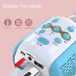 Wireless Microphone Factory - OEM/ODM Professional Handheld Speaker Karaoke Stage