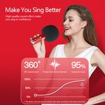 Wireless Microphone Factory - OEM/ODM BT Household Karaoke Mic Singing Live