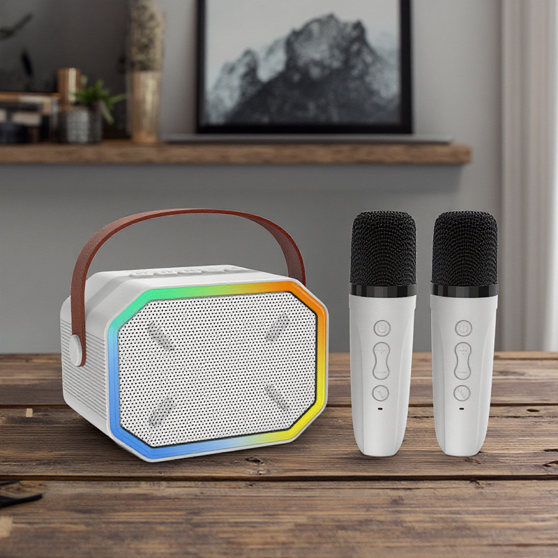 Karaoke Speaker Factory - OEM/ODM Mini Turtle Box Speaker with Wireless Microphones