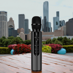 Wireless Microphone Factory - OEM/ODM Dynamic Microphone USB Voice Amplifier Karaoke