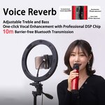 Wireless Microphone Factory - OEM/ODM 2-in-1 Condenser Microphone Noise Cancelling RGB