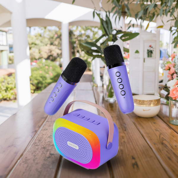 Party Speaker Factory - OEM/ODM Wireless Noise Cancelling Speaker with Microphone