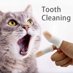 Pet Toothbrush Supplier - Easy to Use Dog Finger Brush