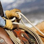 Driver Gloves Manufacturer - Custom Safety Waterproof Work Men's