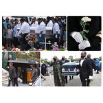 Anti Slip Gloves Supplier - PVC Dotted White Cotton Waiter