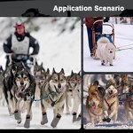 Dog Shoes Manufacturer - Outdoor Winter Anti Slip Adjustable