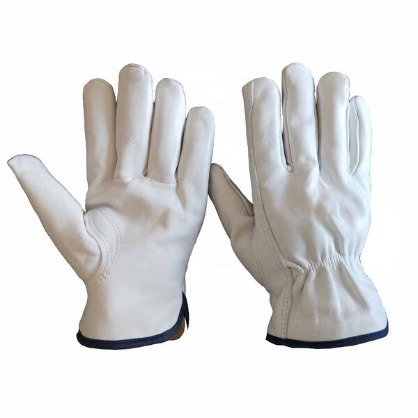 Leather Work Gloves Supplier - Goatskin General Purpose for Men