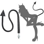 Metal Butt Plug with Devil Tail Cosplay Anal Tail Sex Toys SM Masturbation Anal Plug for Women Men Couples Lover Sex Love Games