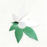 Green Leaf Sexy Raunchy Covers, Explicit Unisex Self Adhesive Breast Cover Cross Soft Lightweight Breathable Fashion Secret