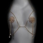 Sexy Rhinestone Nipple Pasties with Chest Chain Rhinestone Nipple Cover Stickers Crystal Tassel body Chain Jewelry for Women