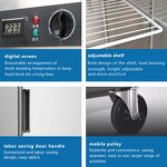 Commercial Freezer Manufacturer - Four Door Frozen Cooler Box Meat Preservation