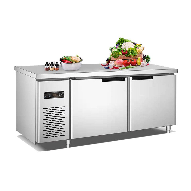 Commercial Freezer Manufacturer - Double Door Horizontal Freezer Factory Direct