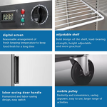 Commercial Refrigerator Manufacturer - 4.5 Cu Ft Freezer Hotel Kitchen Factory