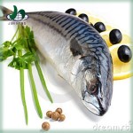 Manufacturers Fresh Ocean Canned Old Brand Raw Sardines Canned