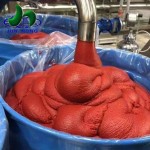 Fresh Organic Chopped Tomatoes and Vegetables in Season Canned Sauce