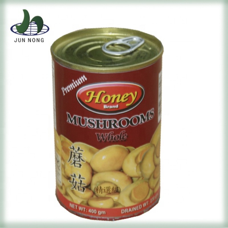 Wholesale Healthy Salt Steamed Flavor Canned Vegetables Whole Canned Mushrooms High Level Organic Standard Manufacturer