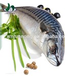 Organic Tomato Sauce Canned Sardines Manufacturers Sale-Seafood Product