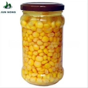 High Quality Yellow Sweet Corn in Brine Clean and Hygienic Delicious Canned Wholesale Preservation Process